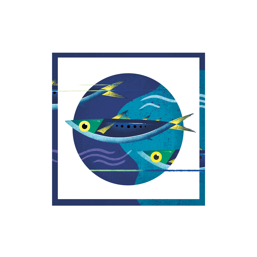 Sardinhas - Image 2