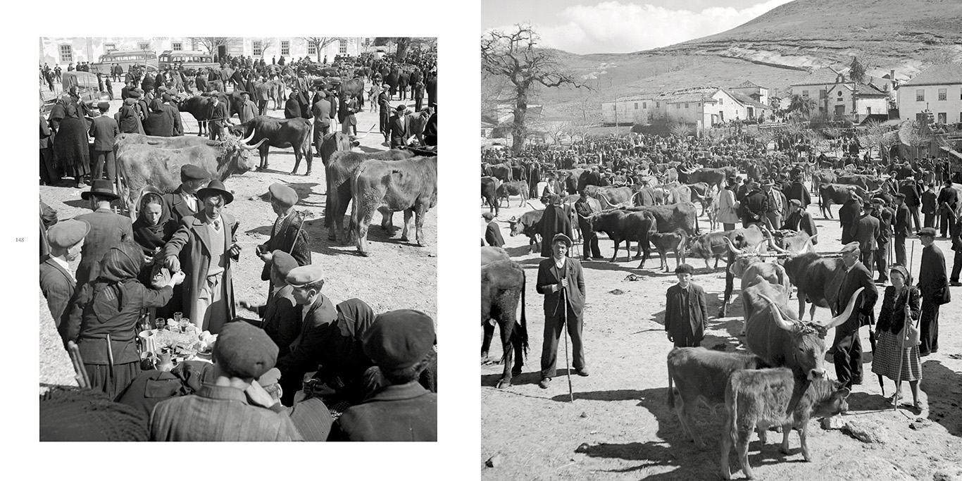 Artur Pastor - Portugal país de contrastes - Image 7